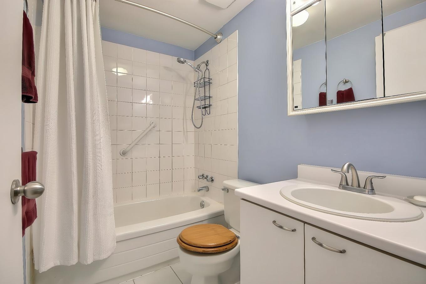 Bathroom - 6580 Rue Chabot, Montréal (Rosemont/La Petite-Patrie), QC - Indoor Photo Showing Bathroom