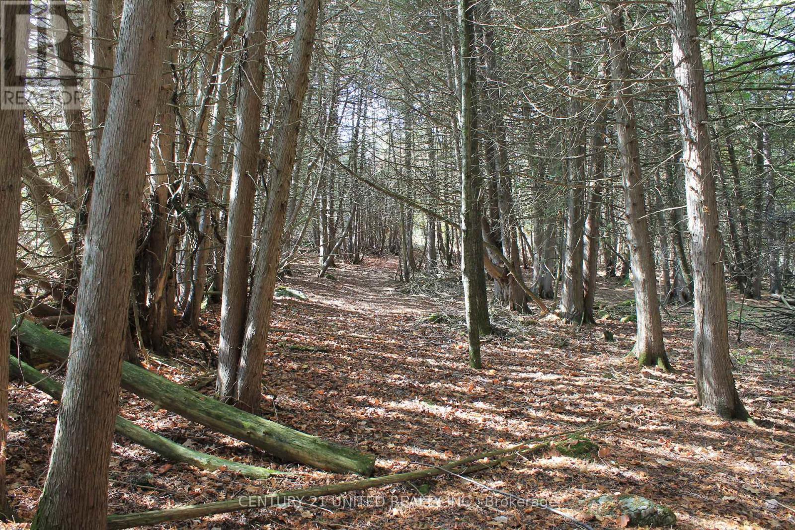 257 10Th Line Rd South Dummer Road, Douro-Dummer, ON - Outdoor With View