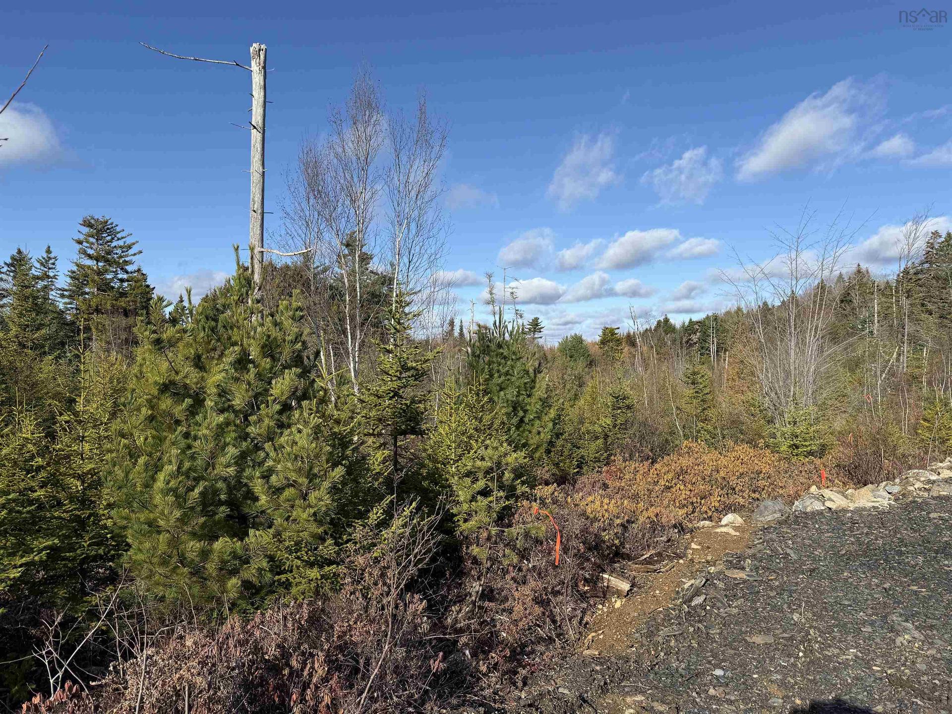 Lot Highway 331, Petite Rivière, NS