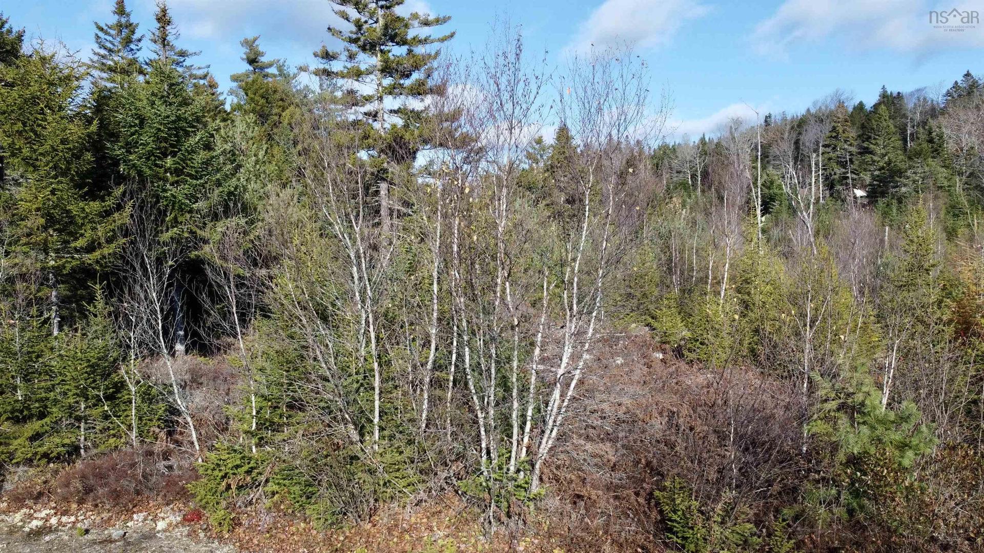 Lot Highway 331, Petite Rivière, NS