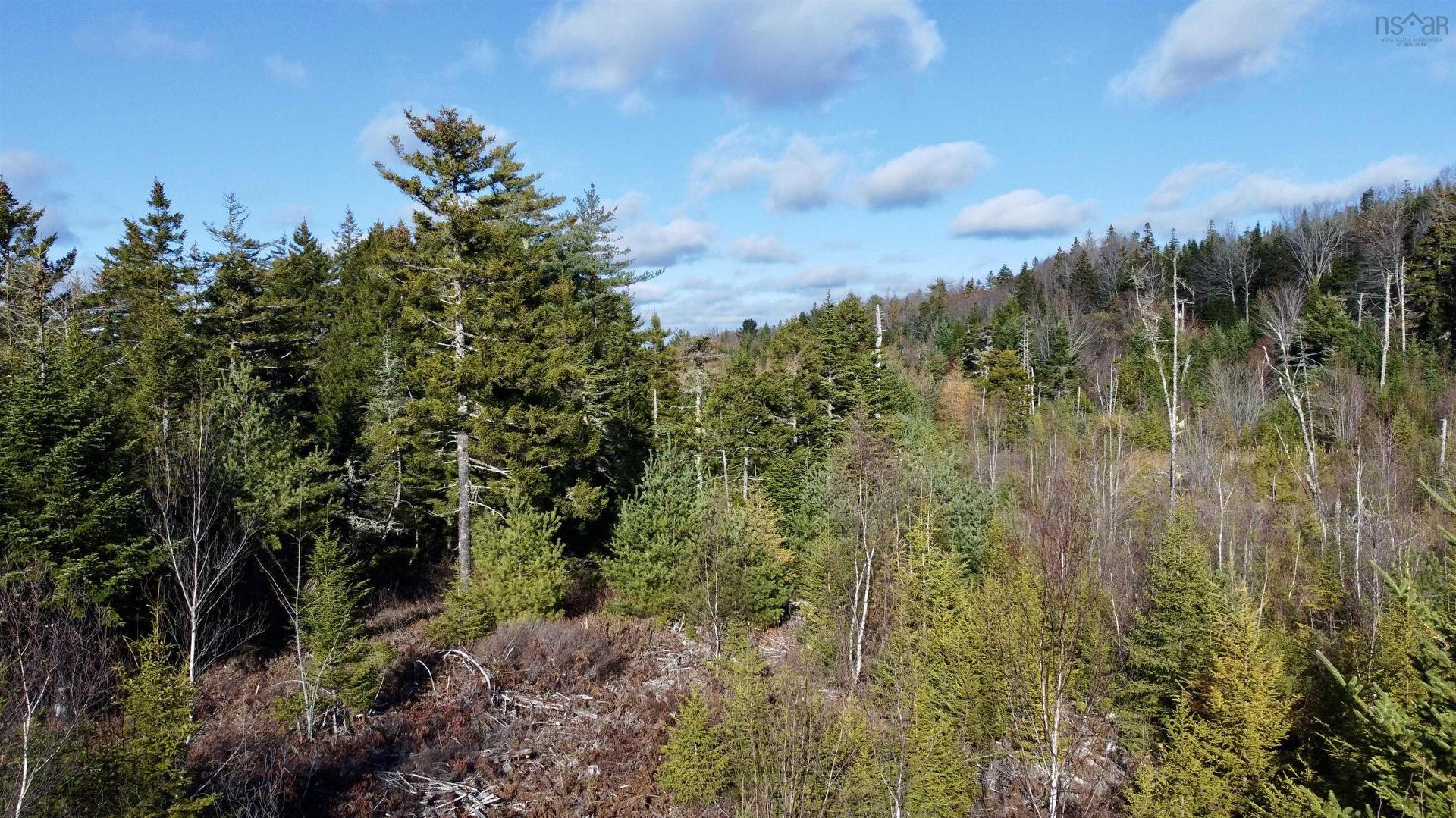 Lot Highway 331, Petite Rivière, NS