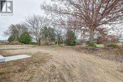 Back yard agains mature treeline -