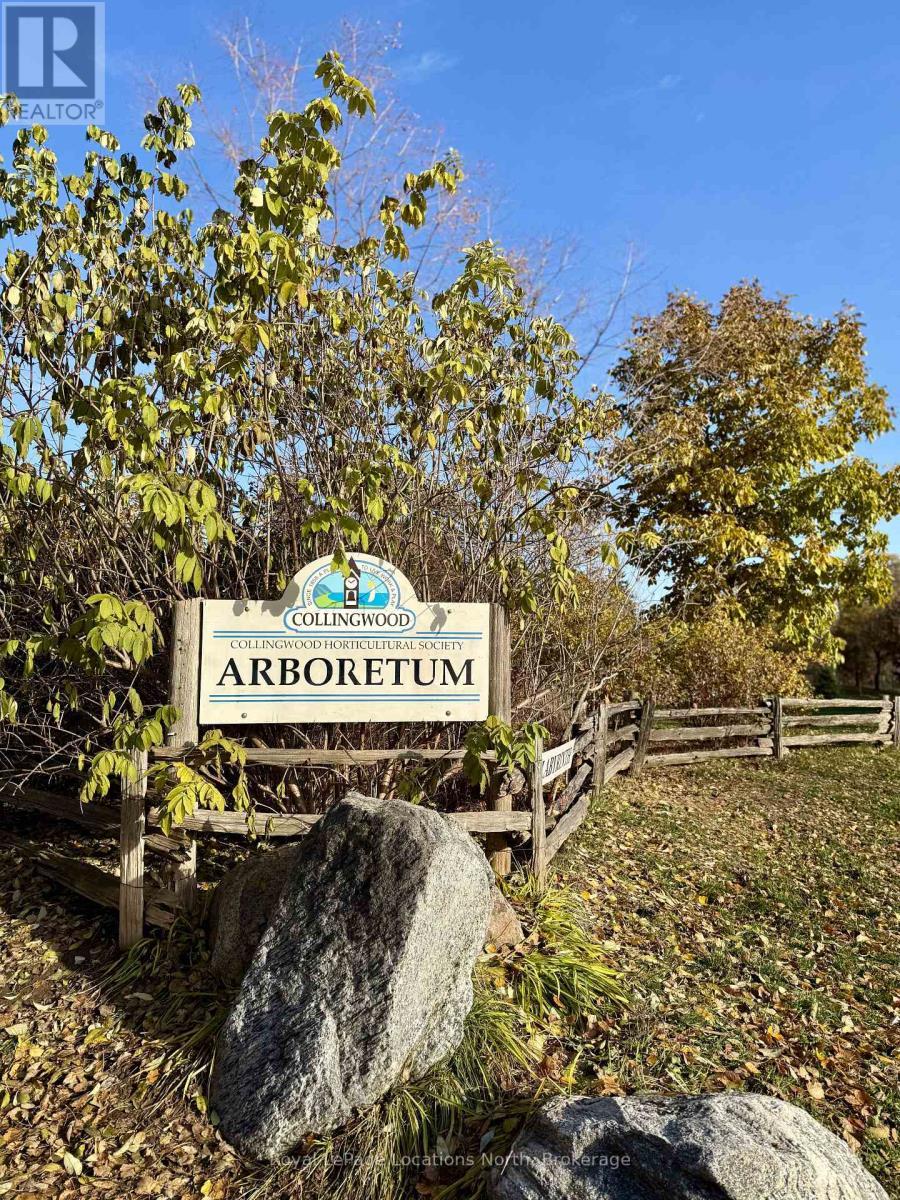 18 Hickory Street, Collingwood, ON - Outdoor