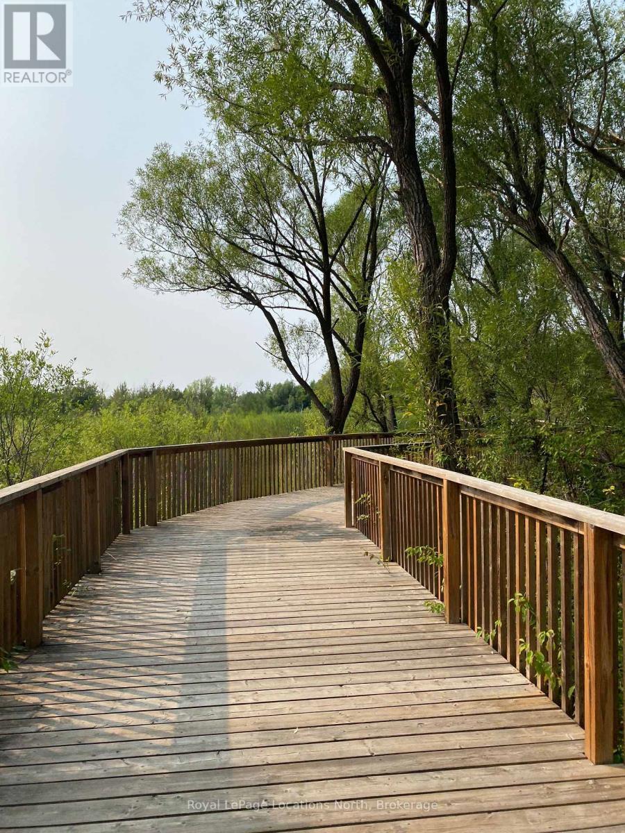 18 Hickory Street, Collingwood, ON - Outdoor With Deck Patio Veranda With Exterior