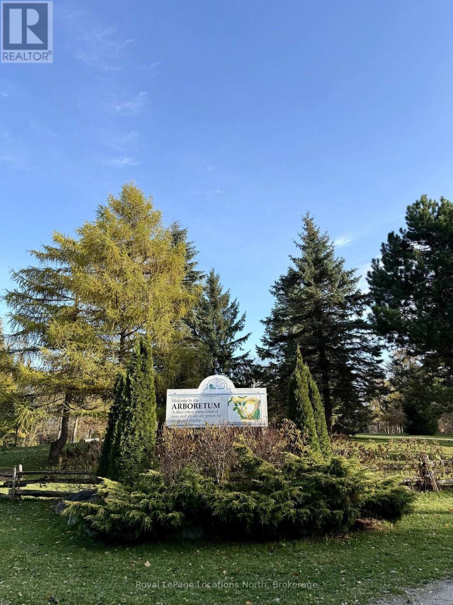 18 Hickory Street, Collingwood, ON - Outdoor