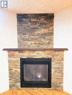 Napoleon Gas Fireplace -