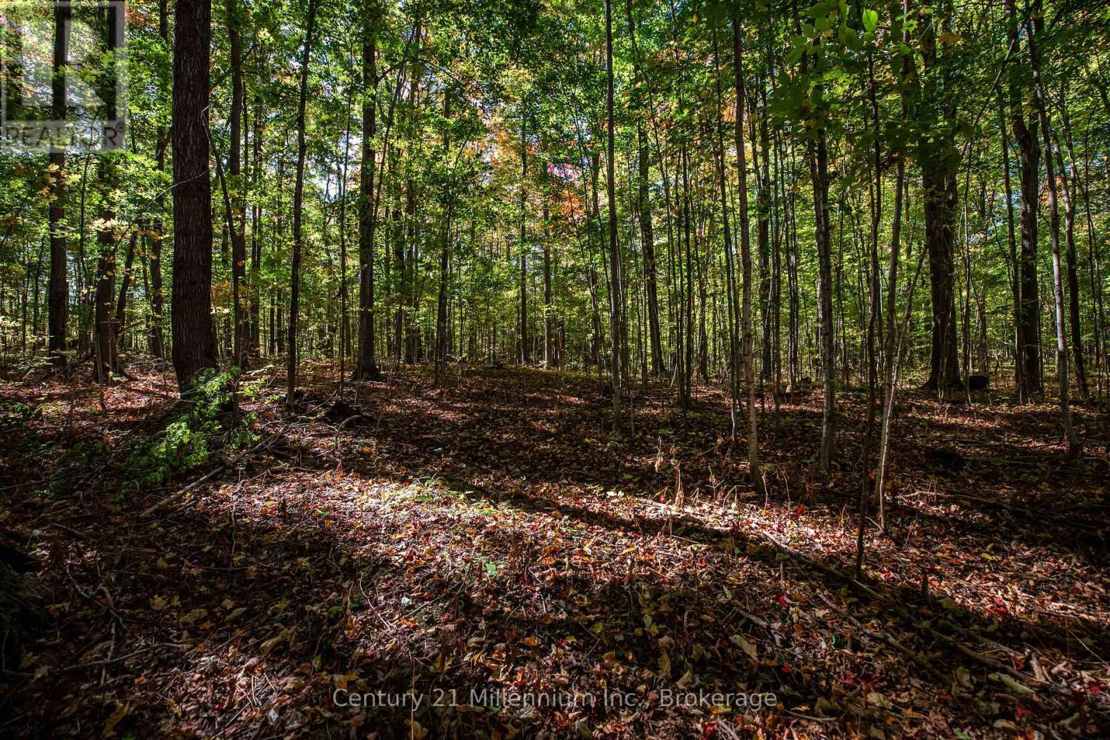 374518 6Th Line, Amaranth, ON