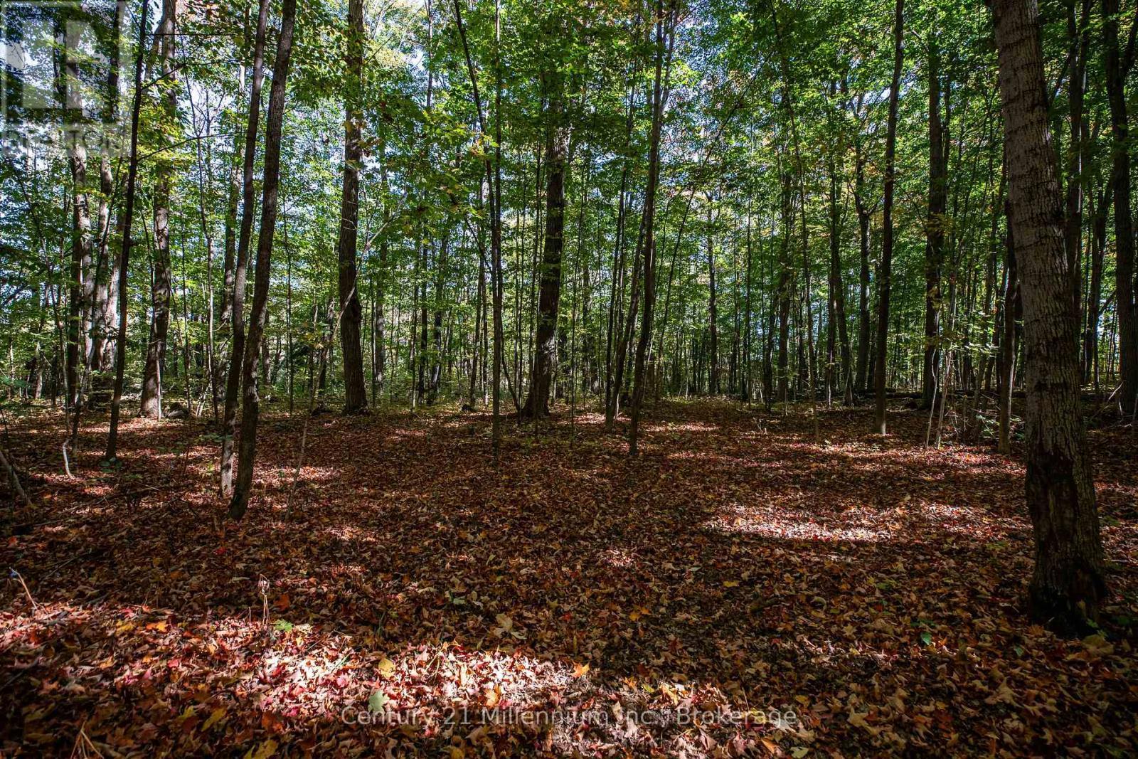 374518 6Th Line, Amaranth, ON