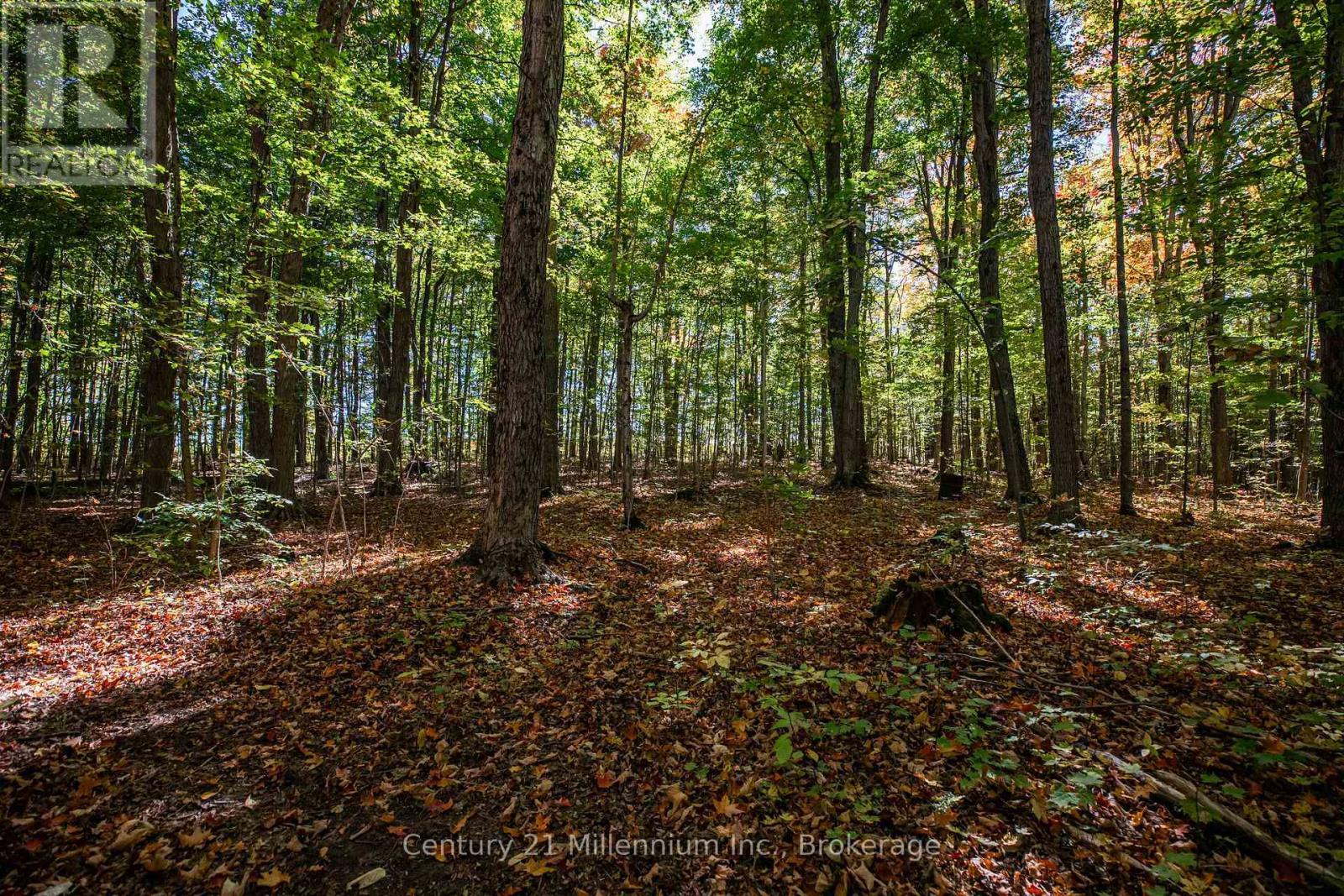 374518 6Th Line, Amaranth, ON