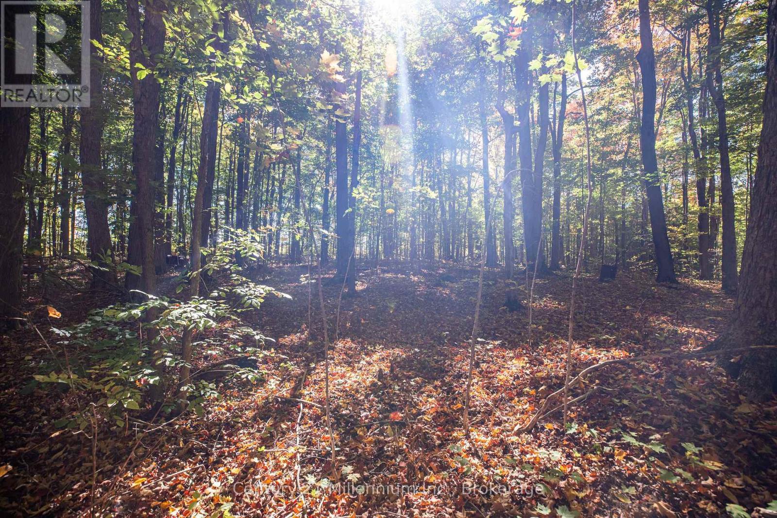 374518 6Th Line, Amaranth, ON