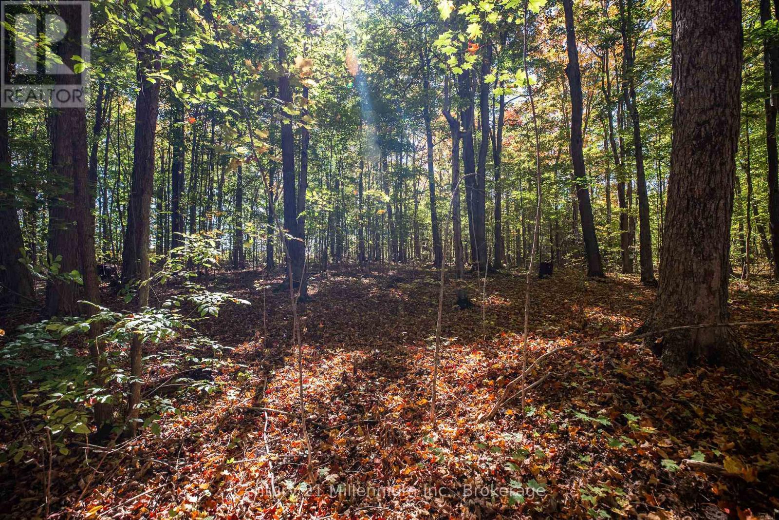 374518 6Th Line, Amaranth, ON