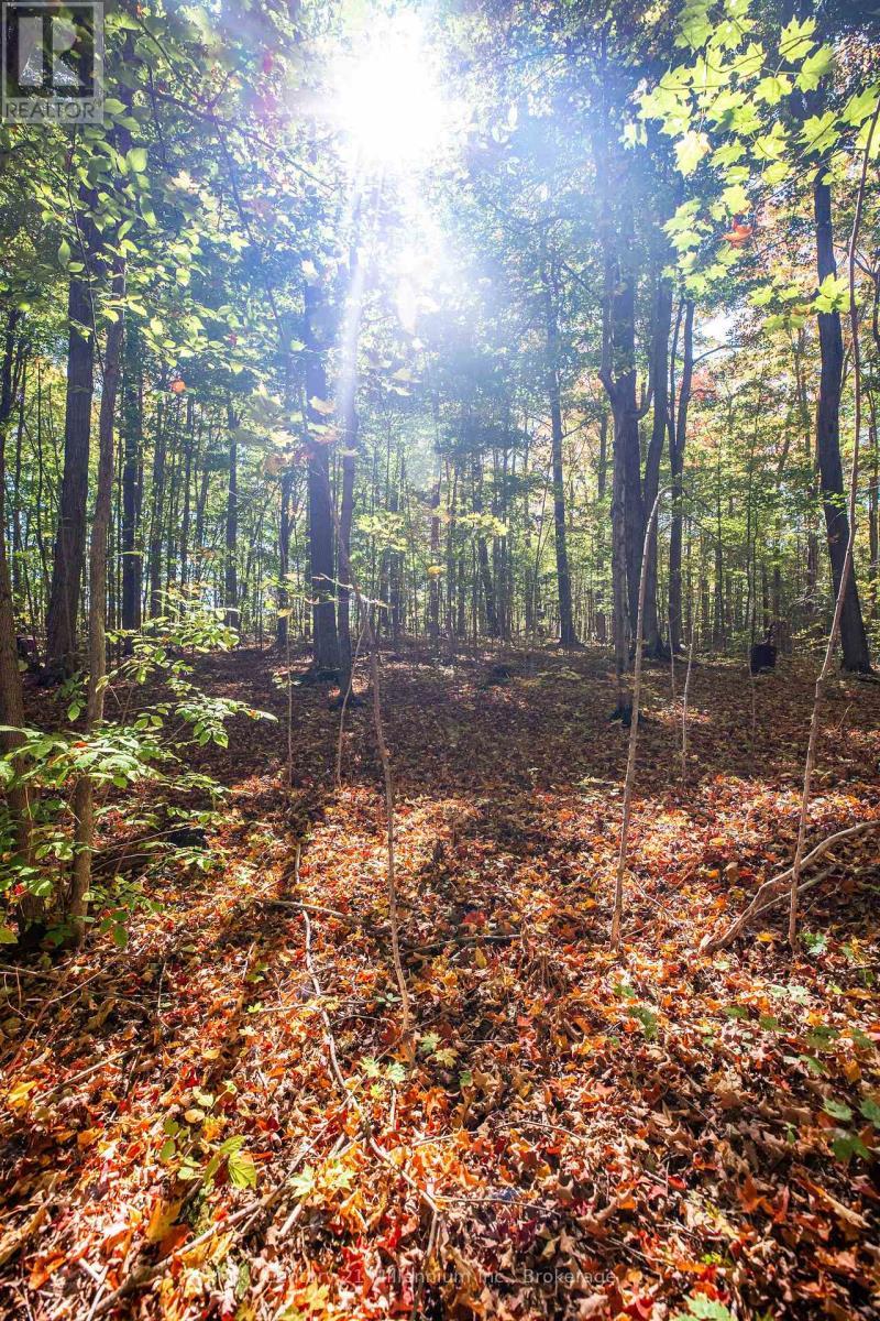 374518 6Th Line, Amaranth, ON