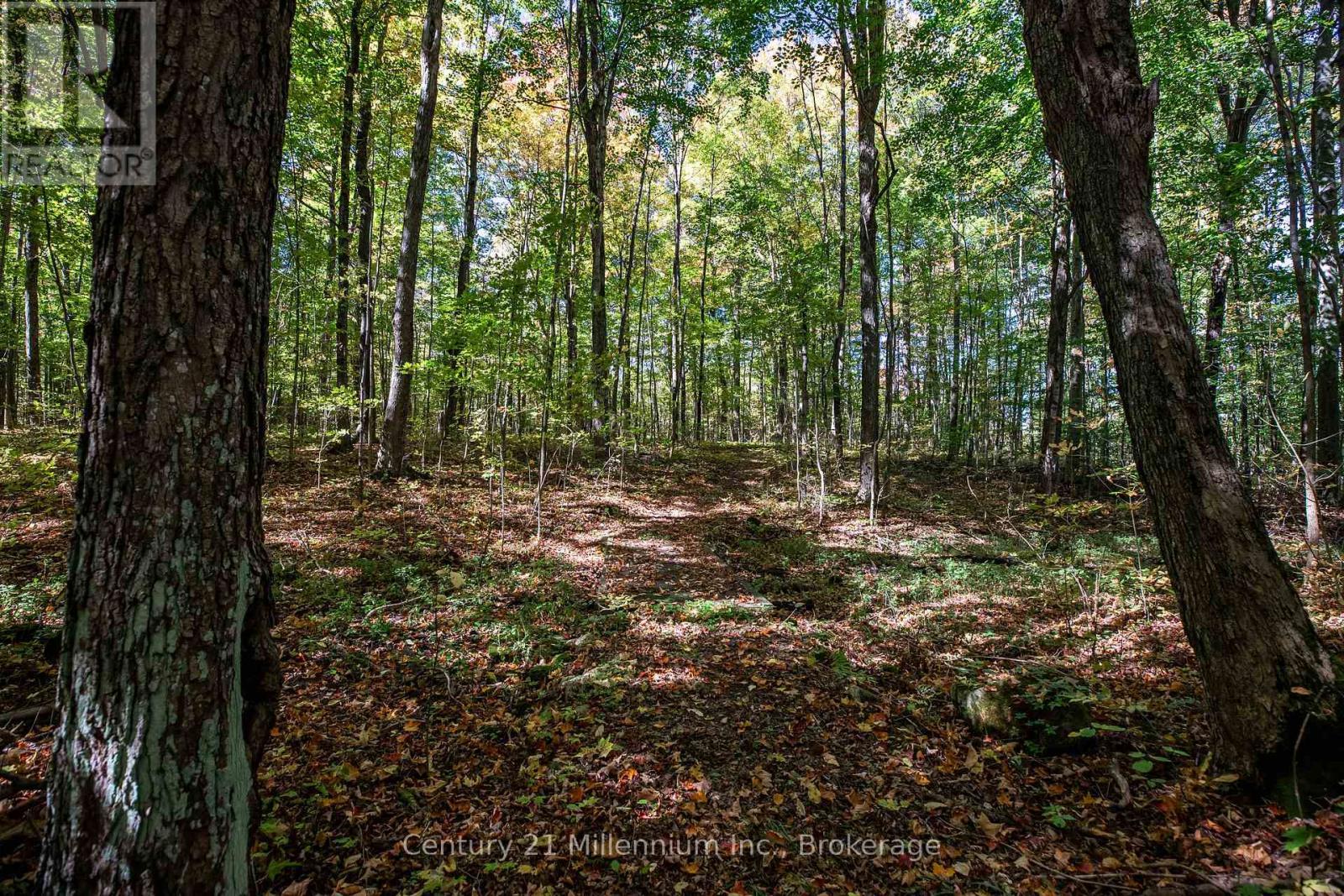 374518 6Th Line, Amaranth, ON