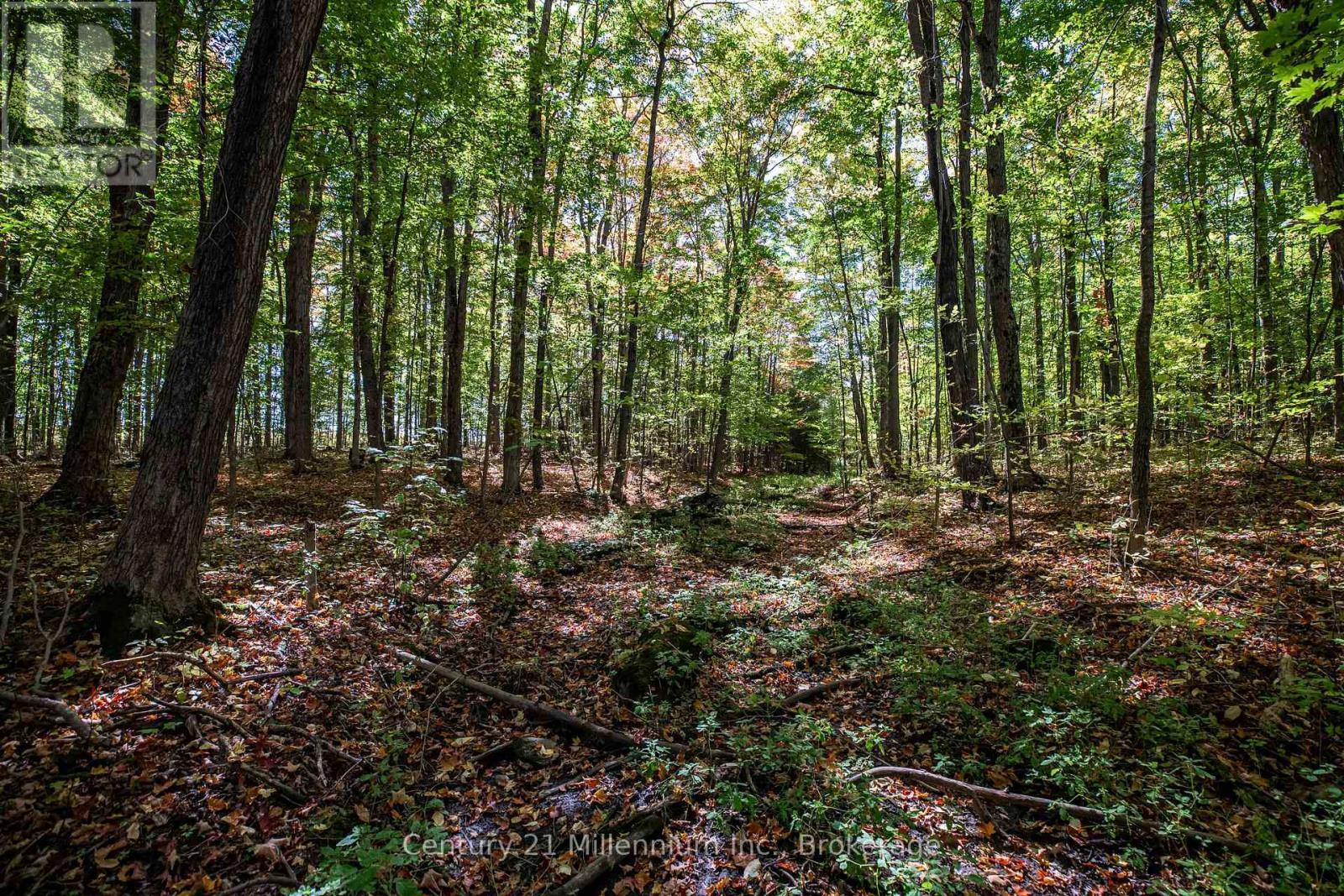 374518 6Th Line, Amaranth, ON