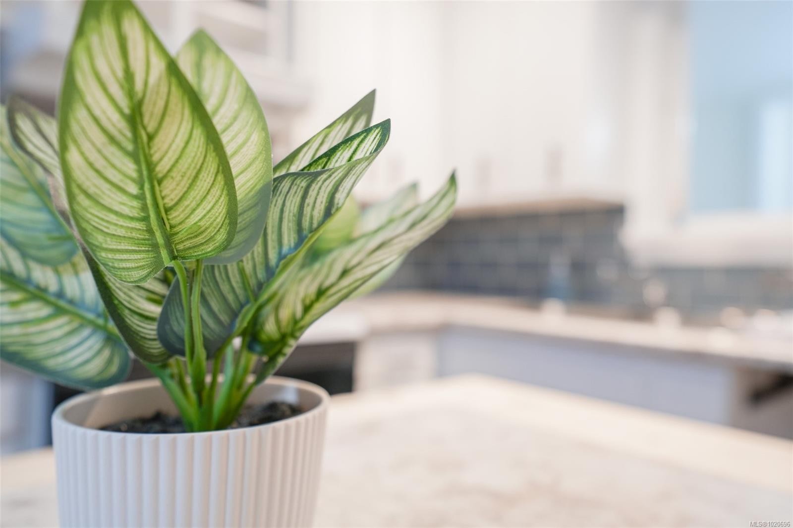 4865 Burde St, Port Alberni, BC