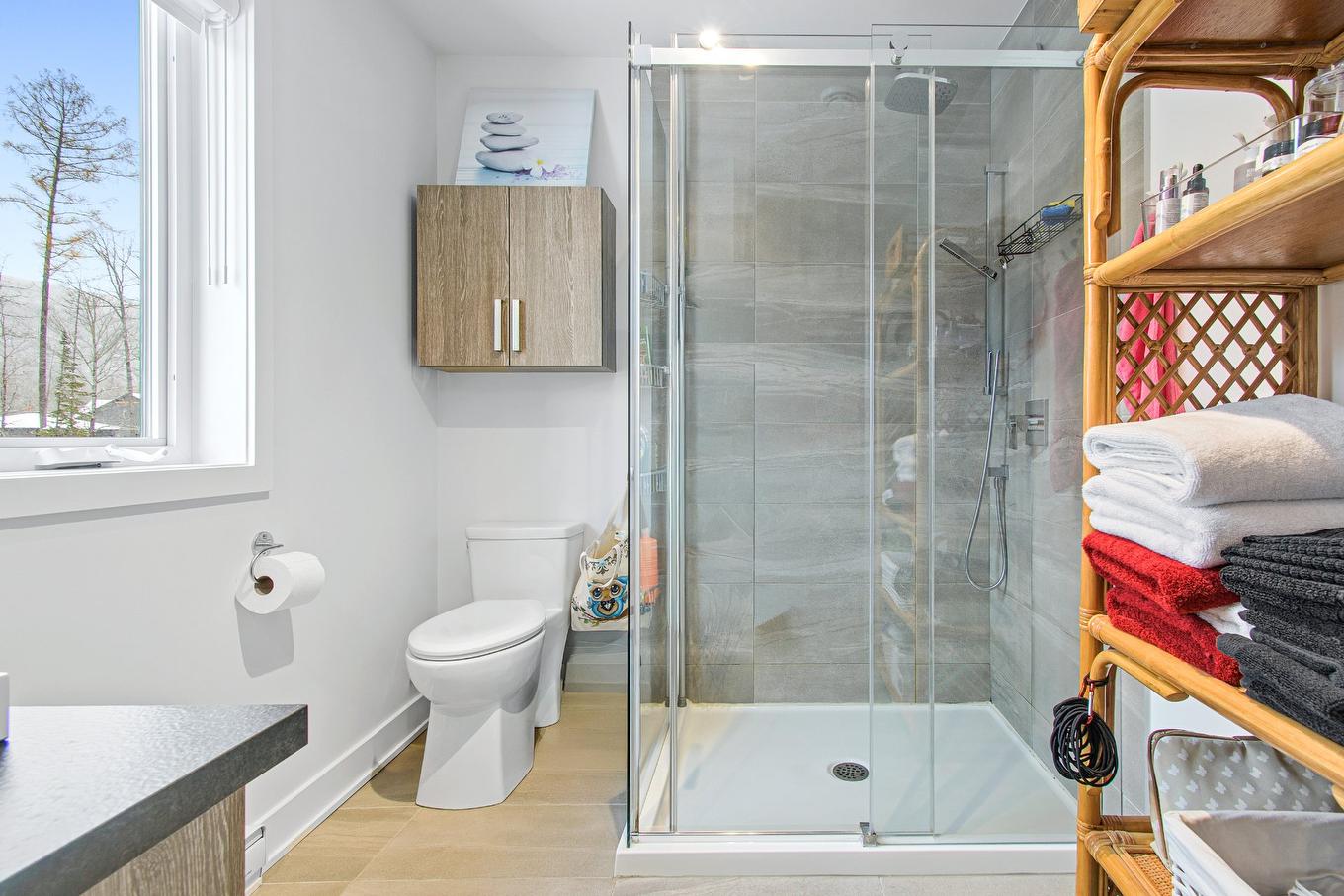Ensuite bathroom - 550 Rue Charlie-Forbell, Mont-Tremblant, QC - Indoor Photo Showing Bathroom
