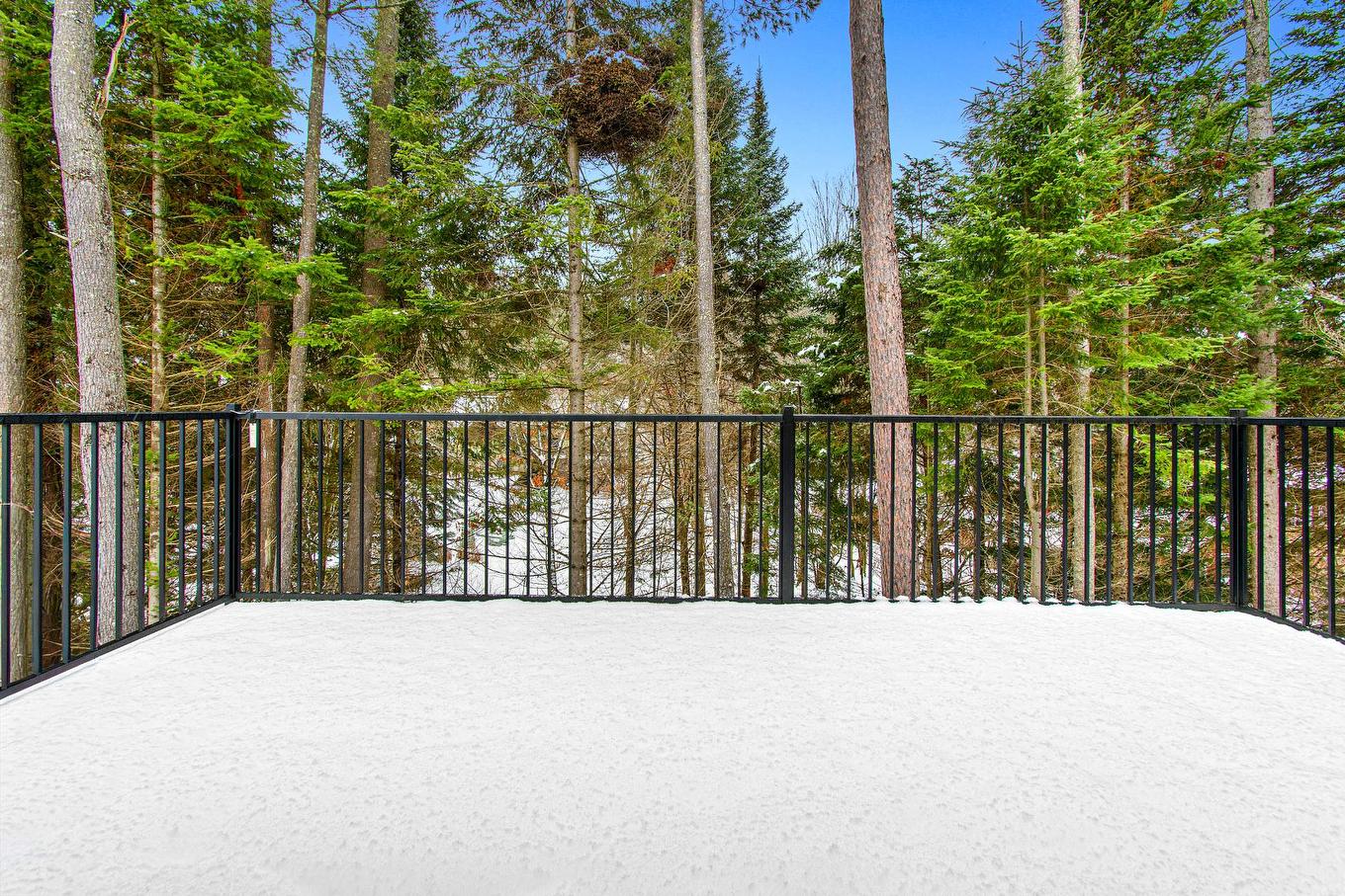 Balcony - 550 Rue Charlie-Forbell, Mont-Tremblant, QC - Outdoor