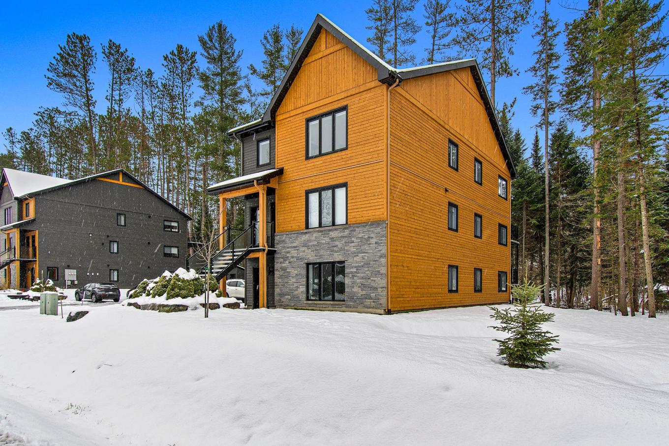 Back facade - 550 Rue Charlie-Forbell, Mont-Tremblant, QC - Outdoor