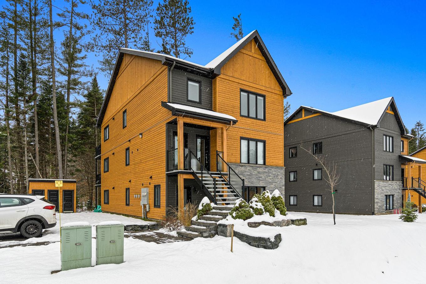 Back facade - 550 Rue Charlie-Forbell, Mont-Tremblant, QC - Outdoor