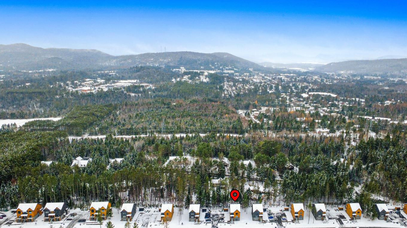 Overall view - 550 Rue Charlie-Forbell, Mont-Tremblant, QC - Outdoor With View
