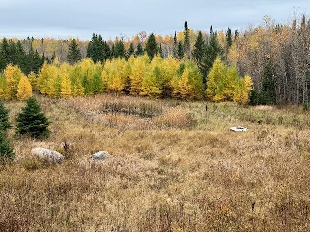 14794 17 Highway E, Dryden, ON - Outdoor With View