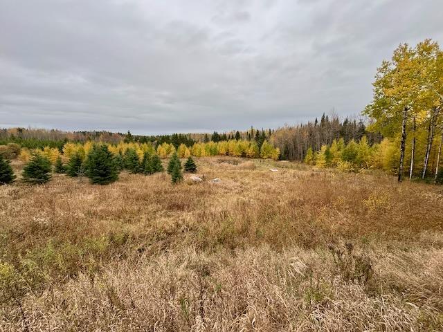 14794 17 Highway E, Dryden, ON - Outdoor With View