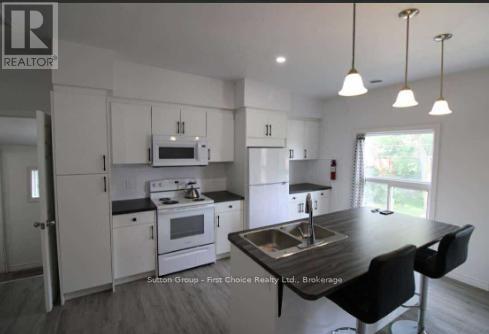 251 Upper - 253 Douro Street, Stratford, ON - Indoor Photo Showing Kitchen With Double Sink