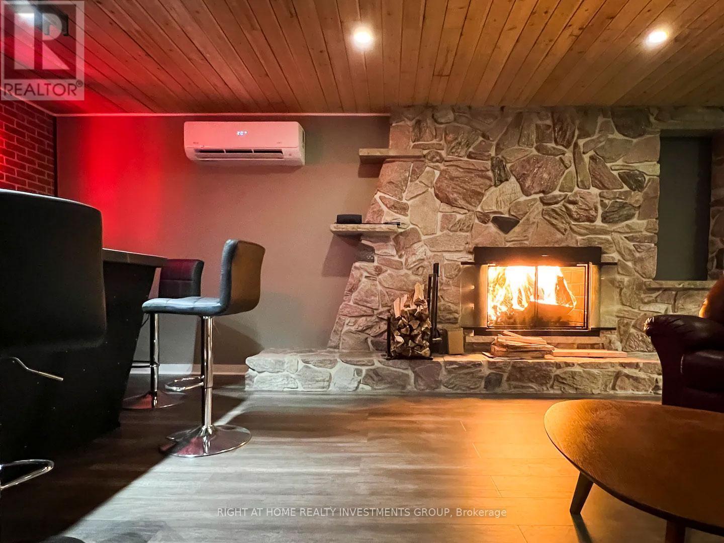 284 Kawartha Hideaway Road, Trent Lakes, ON - Indoor Photo Showing Living Room With Fireplace