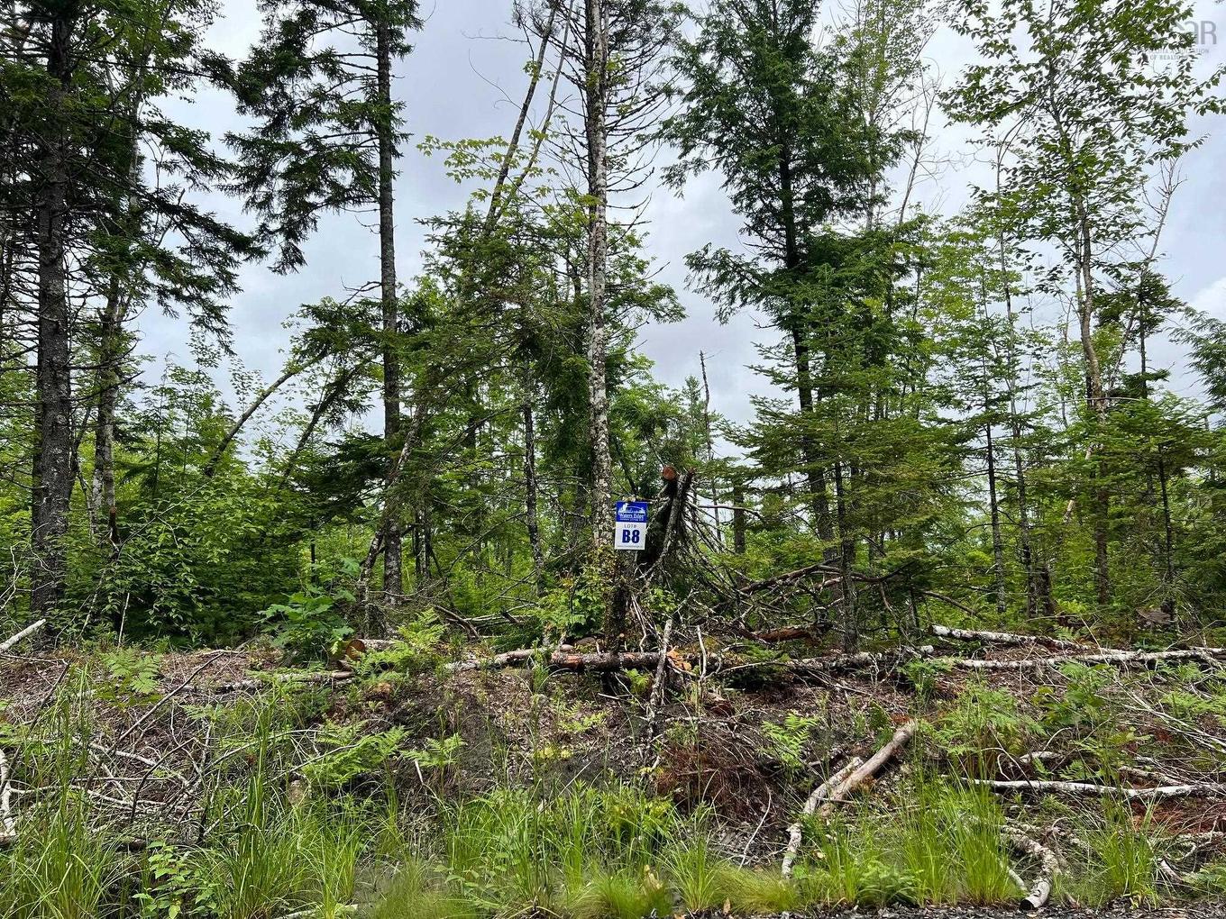 Lot 55 Russells Cove Road, Parkdale, NS