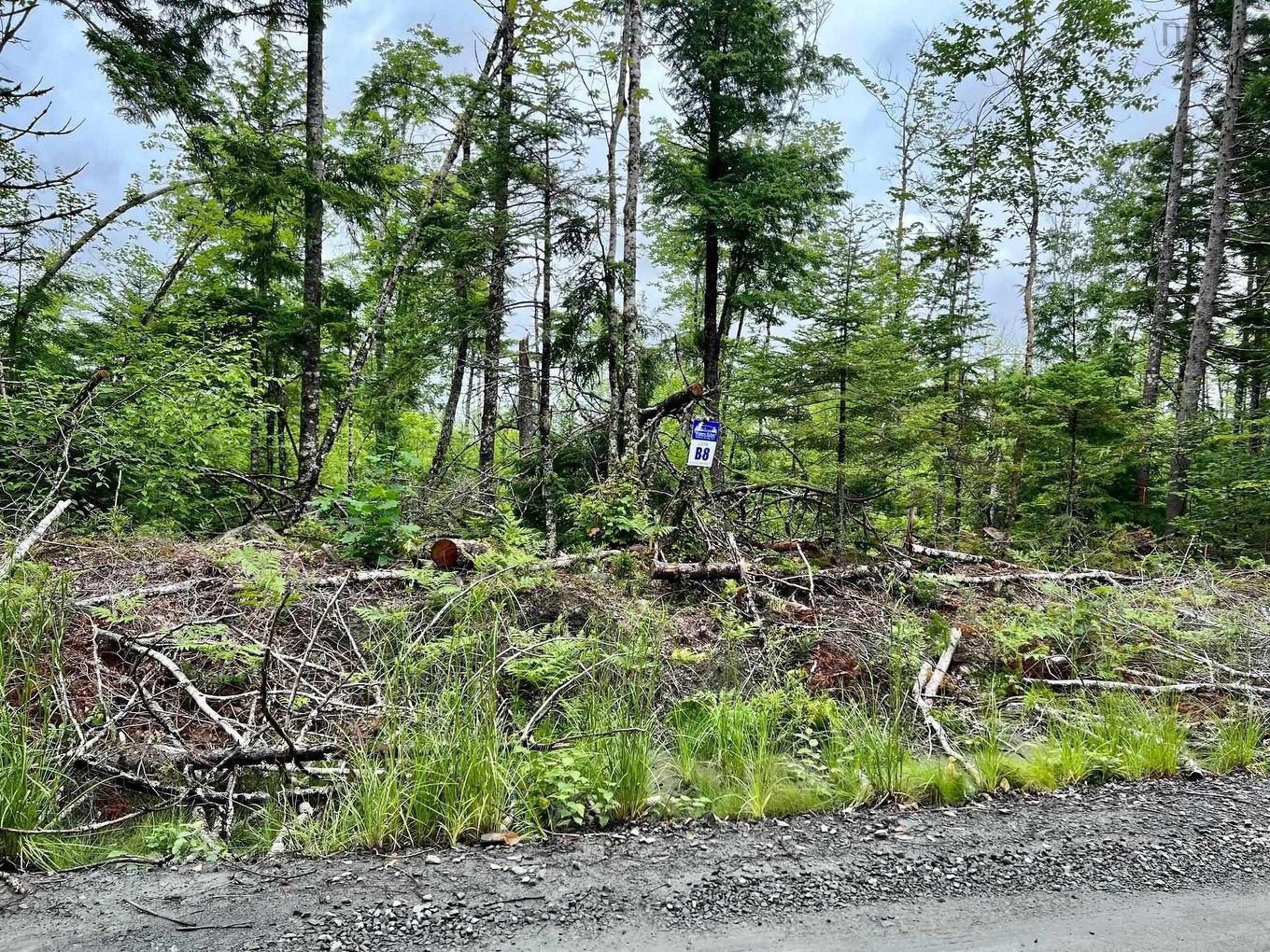 Lot 55 Russells Cove Road, Parkdale, NS