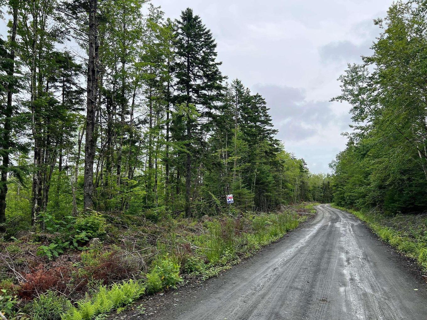 Lot 55 Russells Cove Road, Parkdale, NS