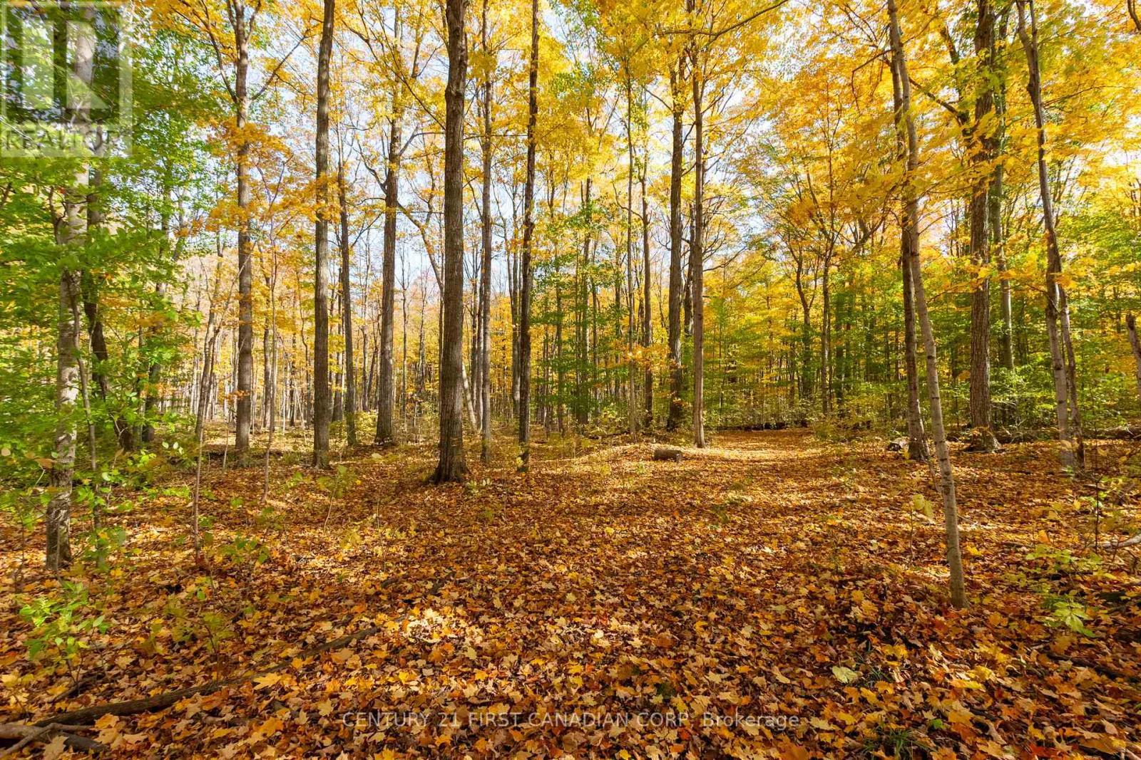10771 Melrose Drive, Middlesex Centre, ON - Outdoor With View