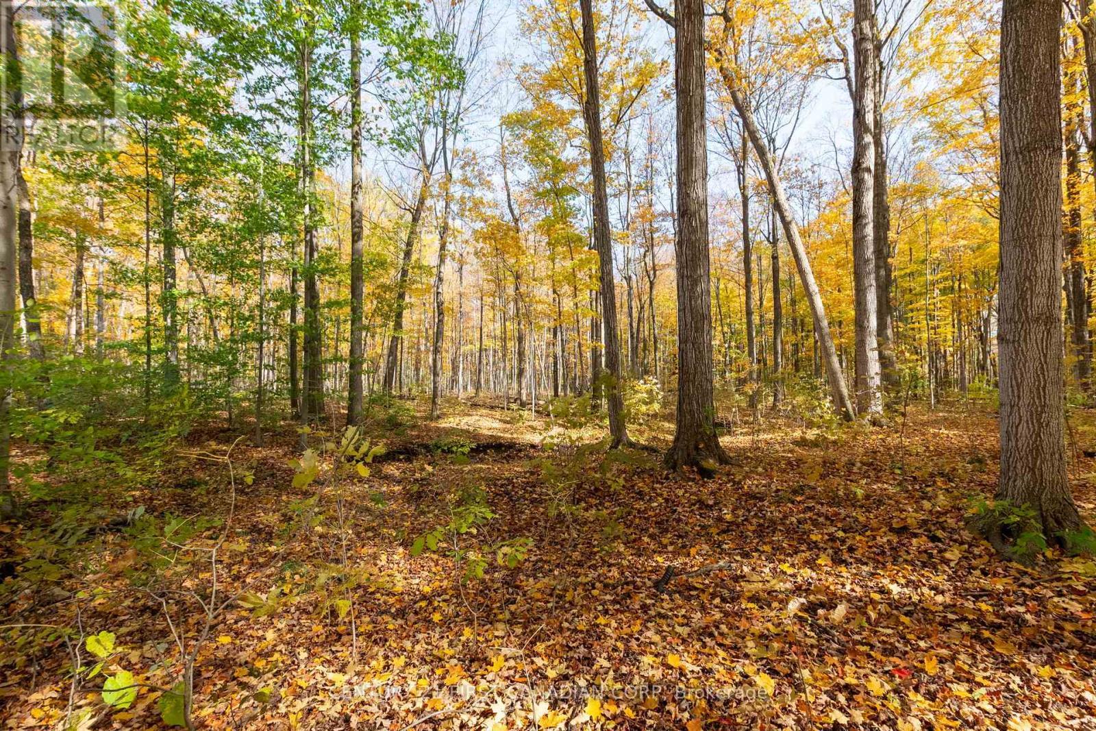 10771 Melrose Drive, Middlesex Centre, ON - Outdoor With View