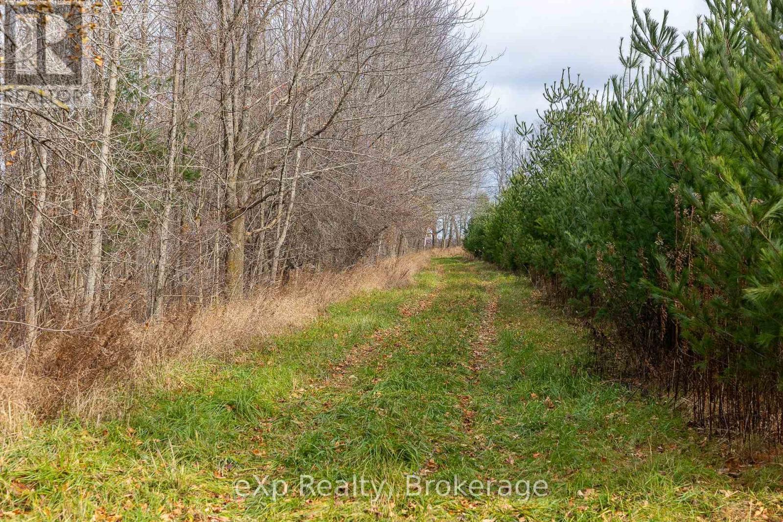 83 C Line Road, South Bruce Peninsula, ON