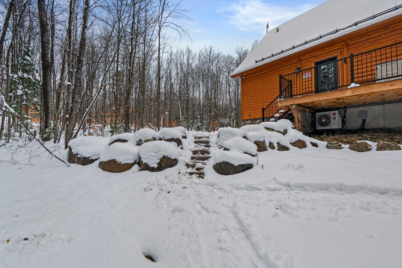 Cour - 147 Ch. Du Pavillon-Kanata, Amherst, QC - Outdoor