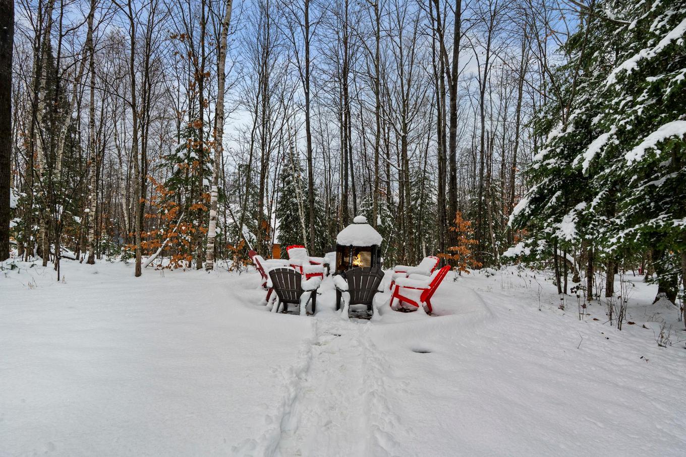 Cour - 147 Ch. Du Pavillon-Kanata, Amherst, QC - Outdoor