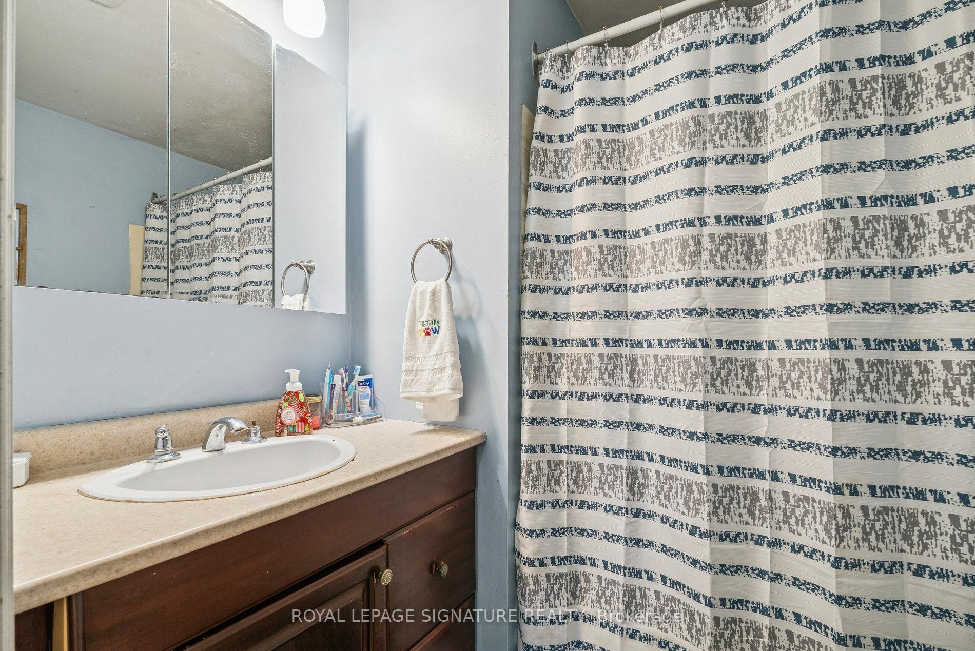 353 Hollywood Drive, Georgina, ON - Indoor Photo Showing Bathroom