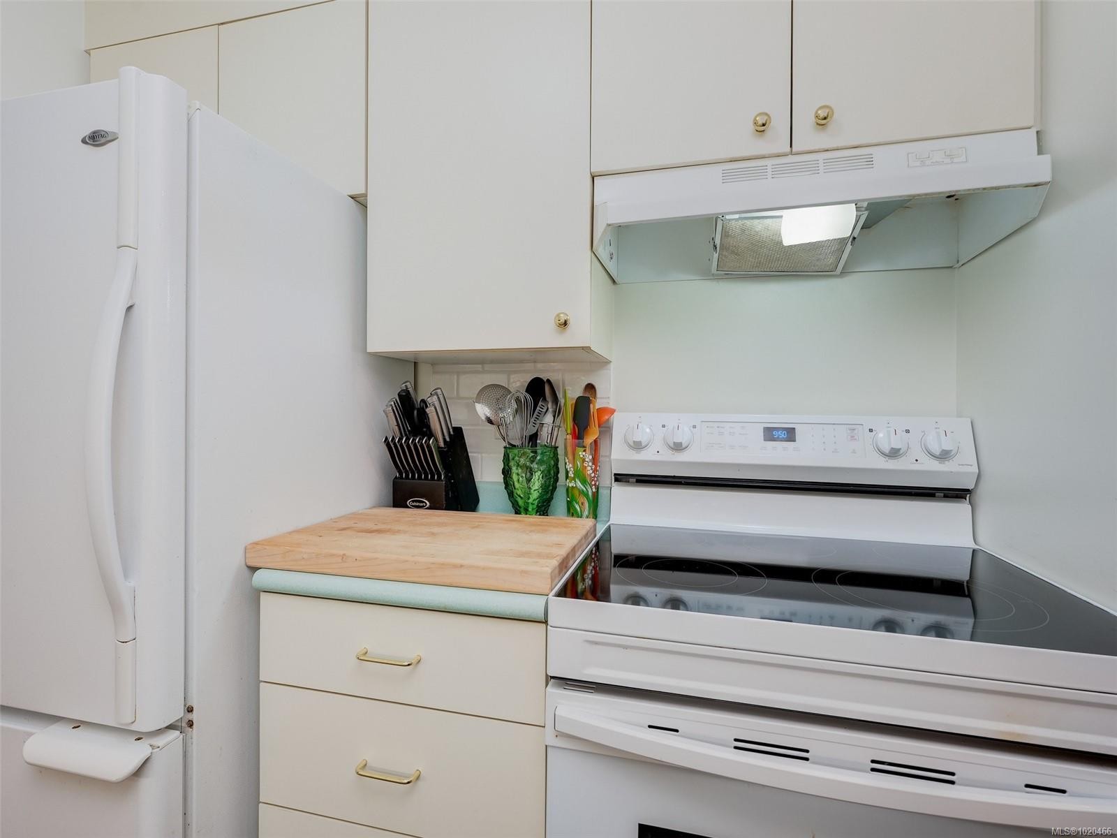 105-2610 Graham St, Victoria, BC - Indoor Photo Showing Kitchen