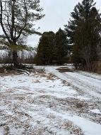 15557 DIXON ROAD South Stormont, ON K0C 1R0