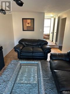 277 - 3060 Constitution Boulevard, Mississauga, ON - Indoor Photo Showing Living Room