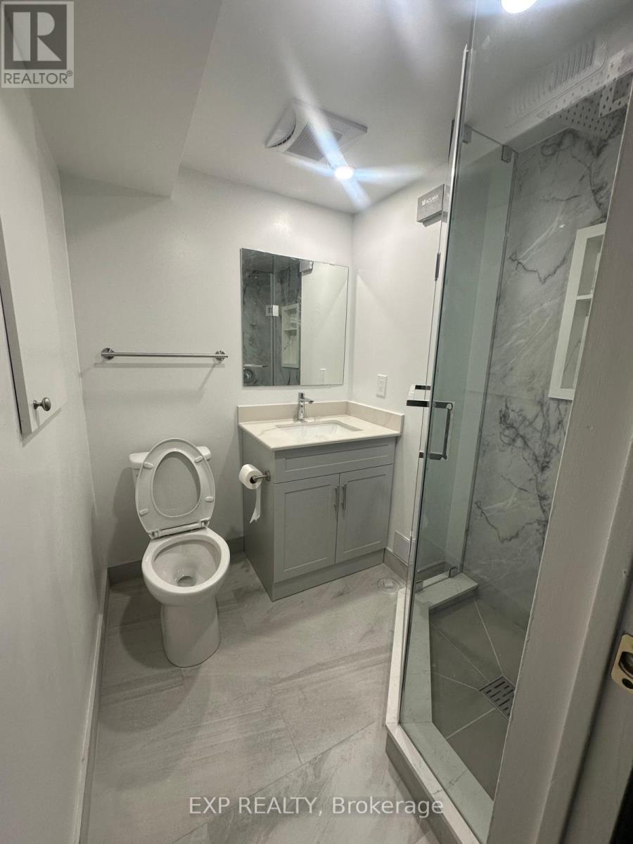 102 Rakewood Crescent, Toronto, ON - Indoor Photo Showing Bathroom