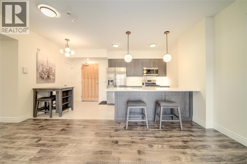 480 Fairview Boulevard Unit# 105, Windsor, ON - Indoor Photo Showing Kitchen With Upgraded Kitchen