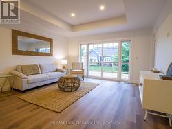 Living room with lots of light -