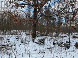 View from the back of the house -