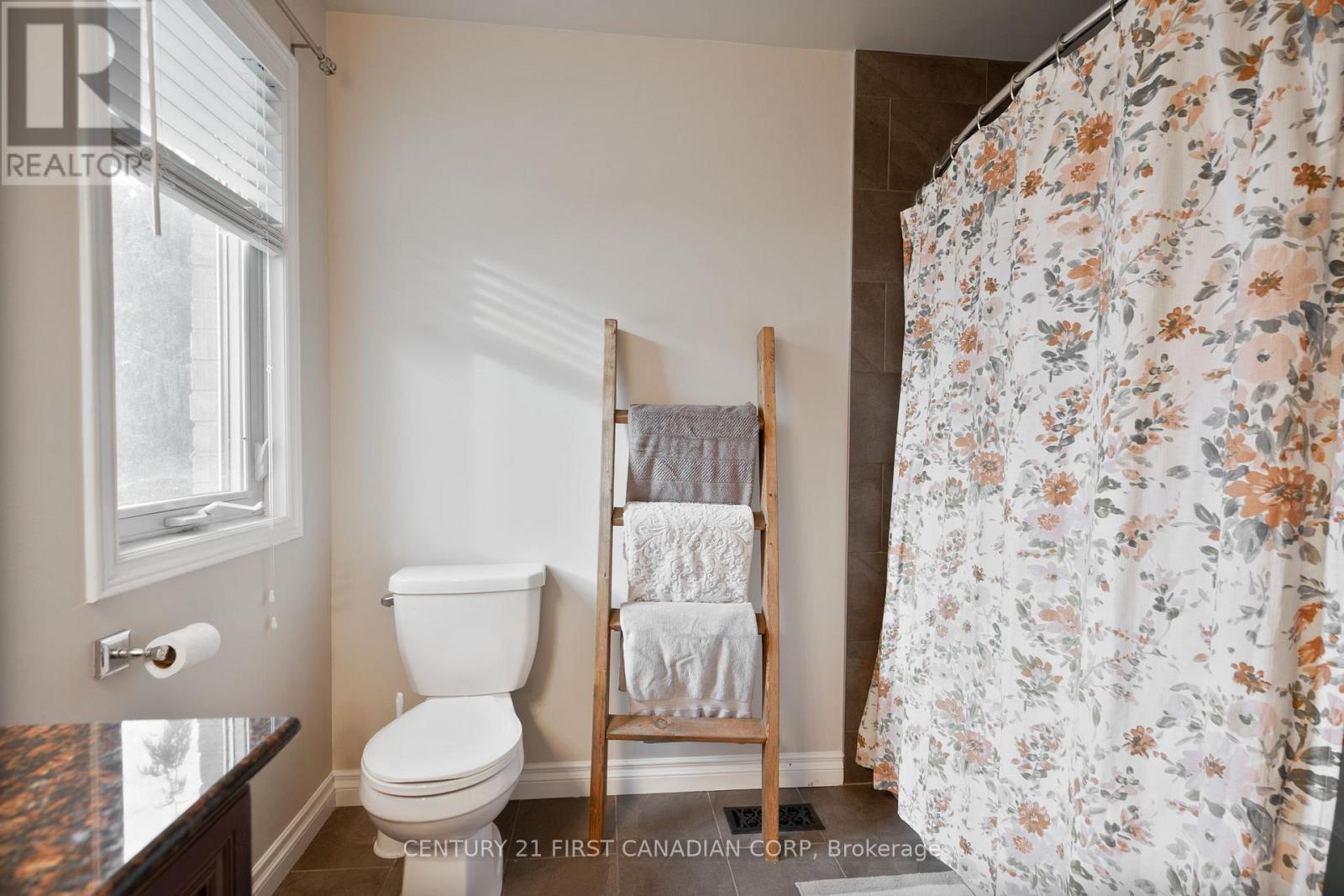 17 Allison Court, Strathroy-Caradoc (Ne), ON - Indoor Photo Showing Bathroom