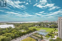 Panaromic view showcasing treetops and skyline. -