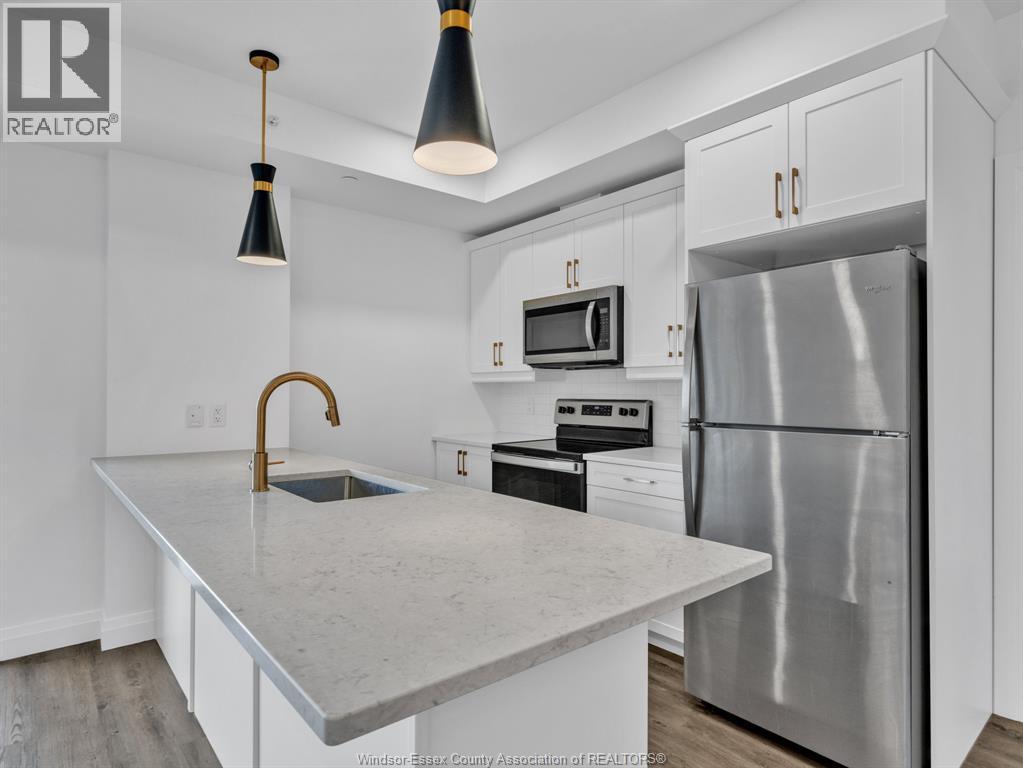 3817 Howard Avenue Unit# 419, Windsor, ON - Indoor Photo Showing Kitchen With Stainless Steel Kitchen With Upgraded Kitchen