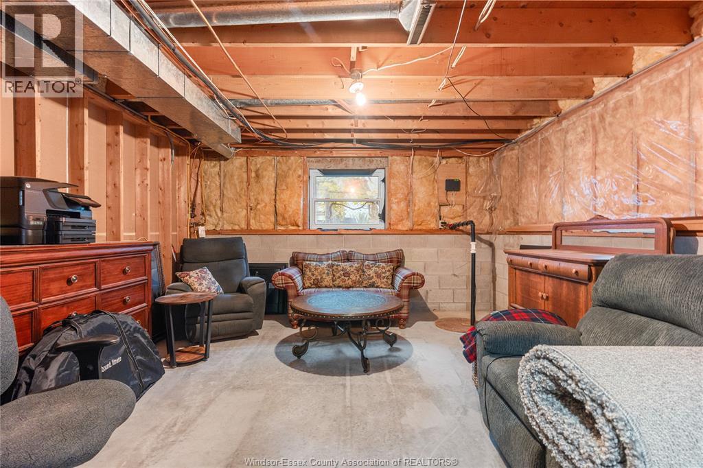215 County Rd 34 West, Cottam, ON - Indoor Photo Showing Basement