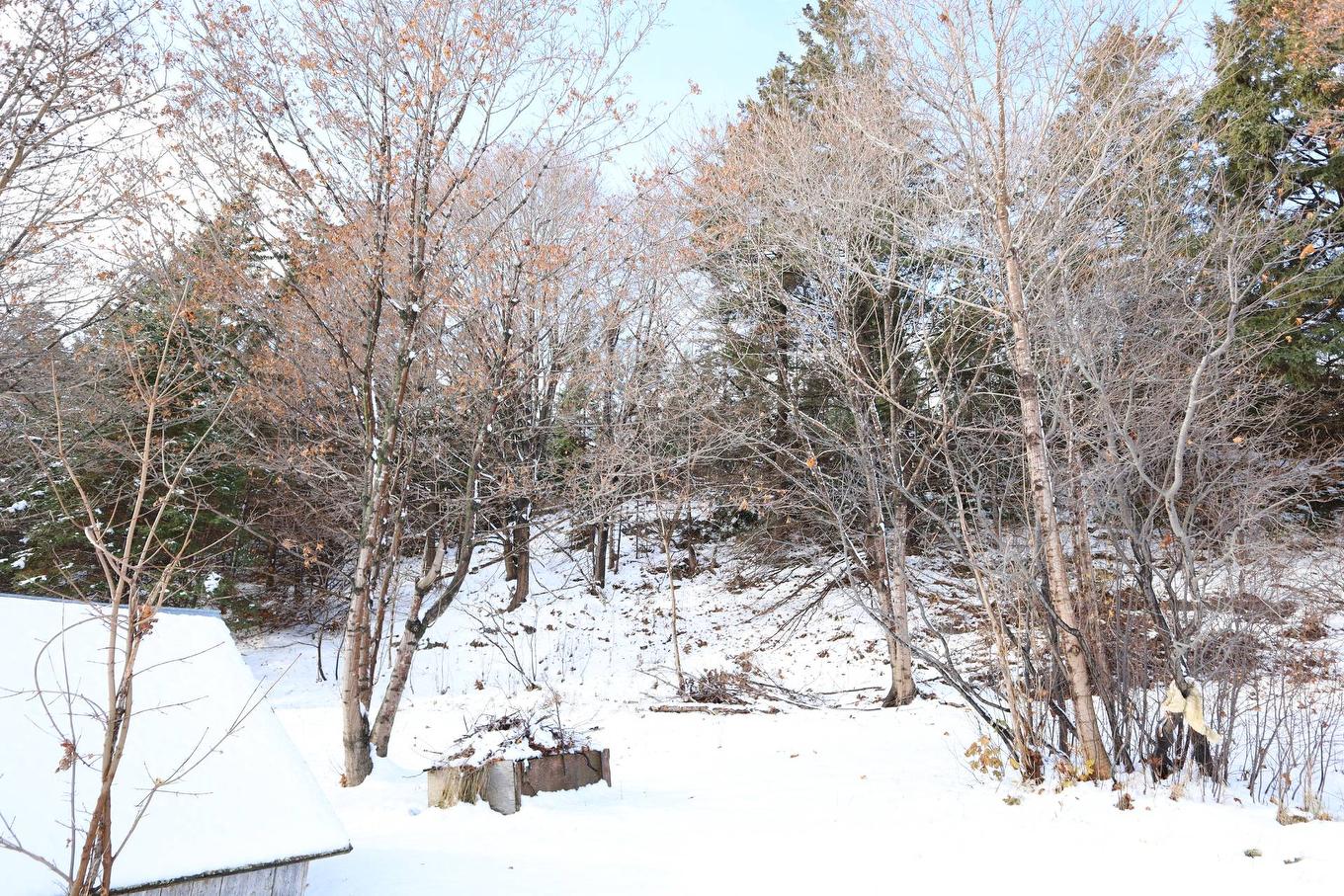 Backyard - 46 Route 132 E., Saint-Denis-De La Bouteillerie, QC - Outdoor
