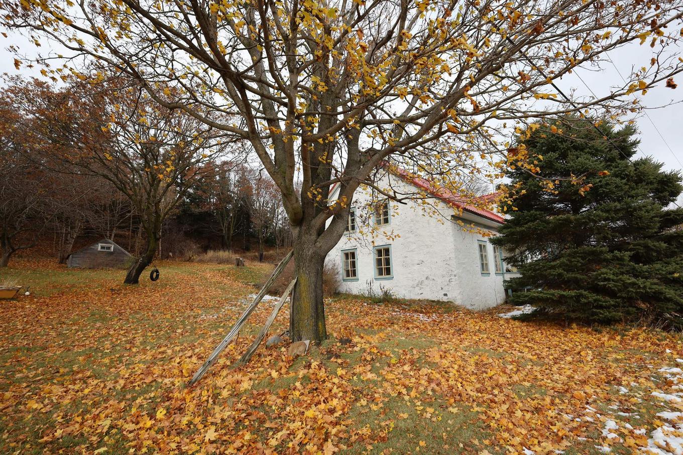 Backyard - 46 Route 132 E., Saint-Denis-De La Bouteillerie, QC - Outdoor